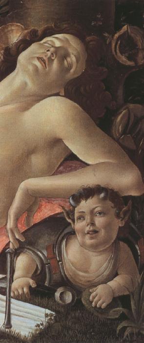 Sandro Botticelli Venus and Mars (mk36) oil painting picture
